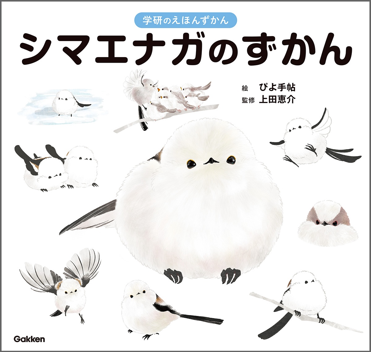 ここたんページ〜シマエナガ〜 ここたん様専用ページ〜シマエナガ〜 美術品・アンティーク・コレクション