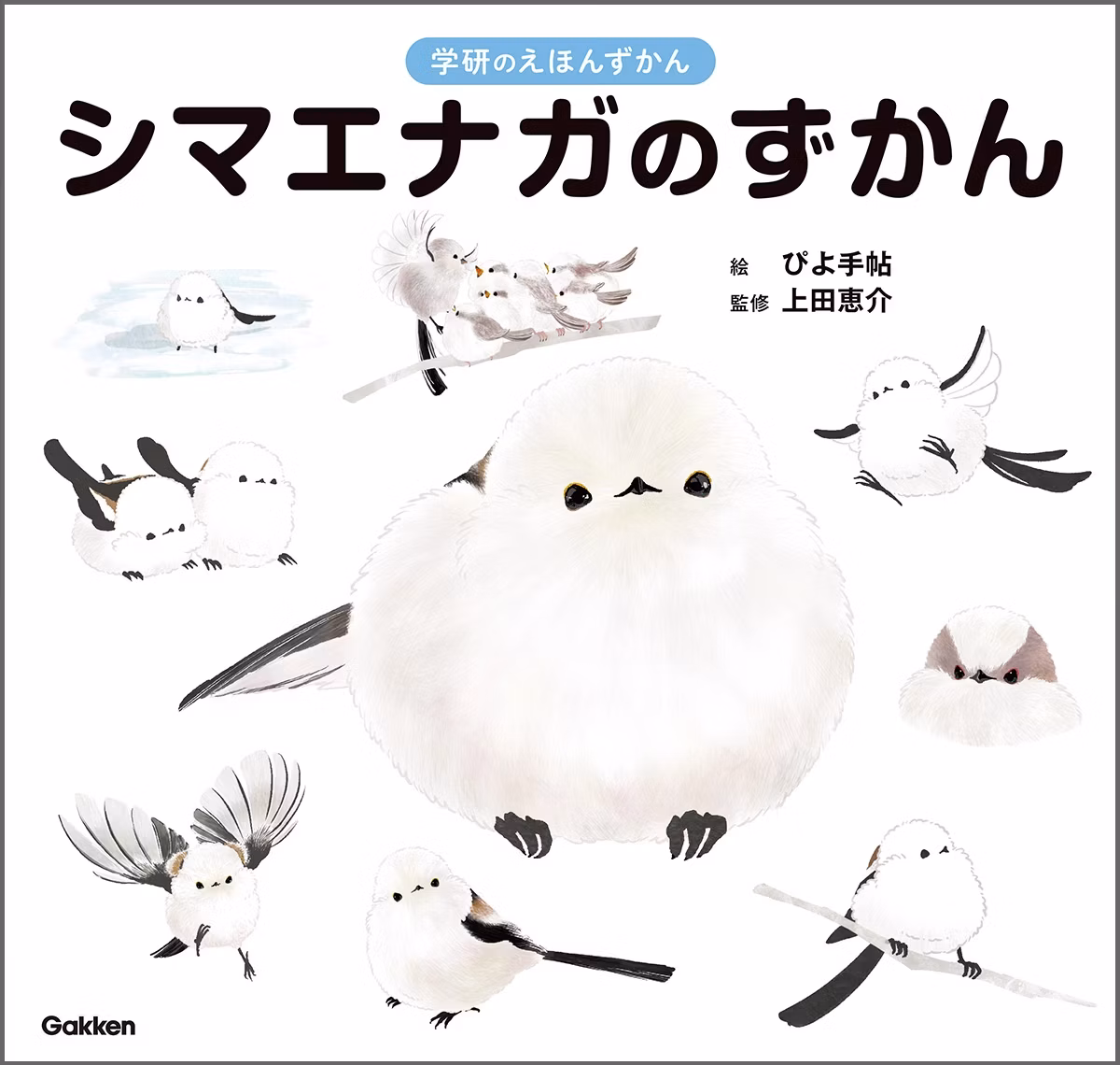 『シマエナガのずかん』ことりカフェ上野本店と鳥フェス浅草2026で先行販売開始