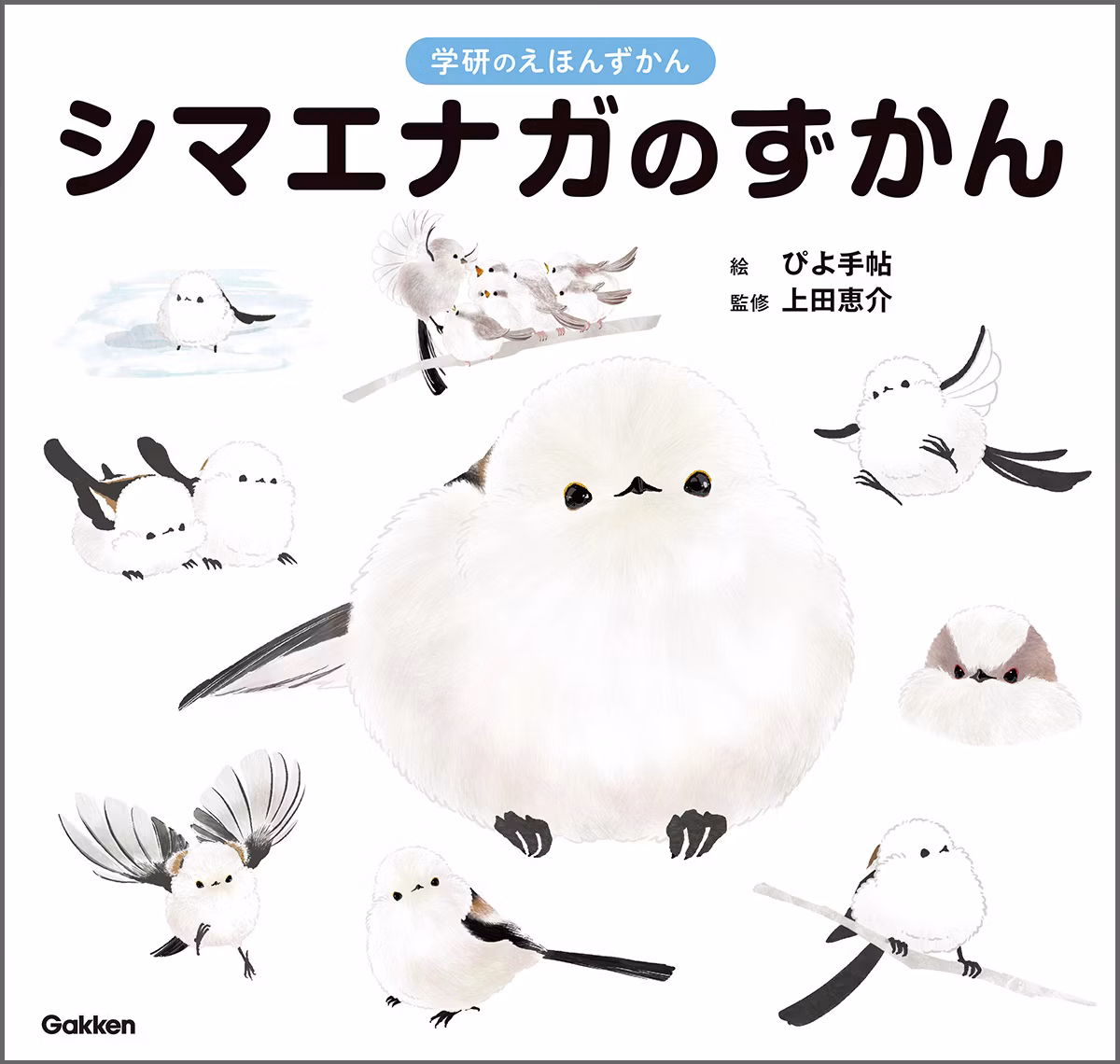 『シマエナガのずかん』ことりカフェ上野本店と鳥フェス浅草2026で先行販売開始