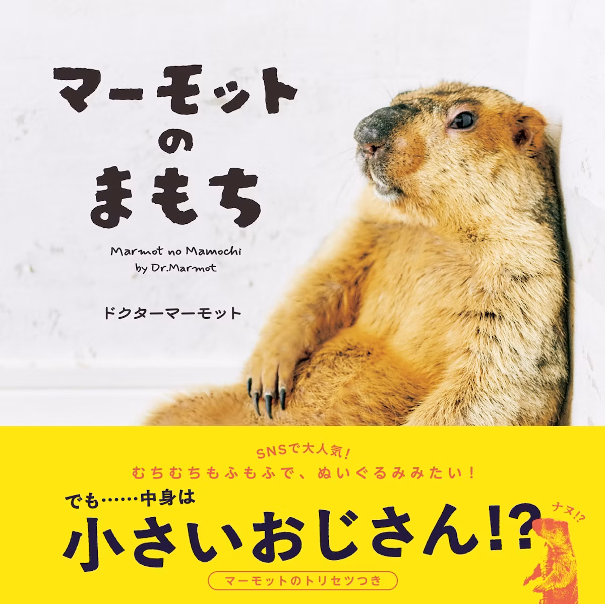 マーモット初写真集『マーモットのまもち』10月22日発売！マーモット村の仲間たちも登場