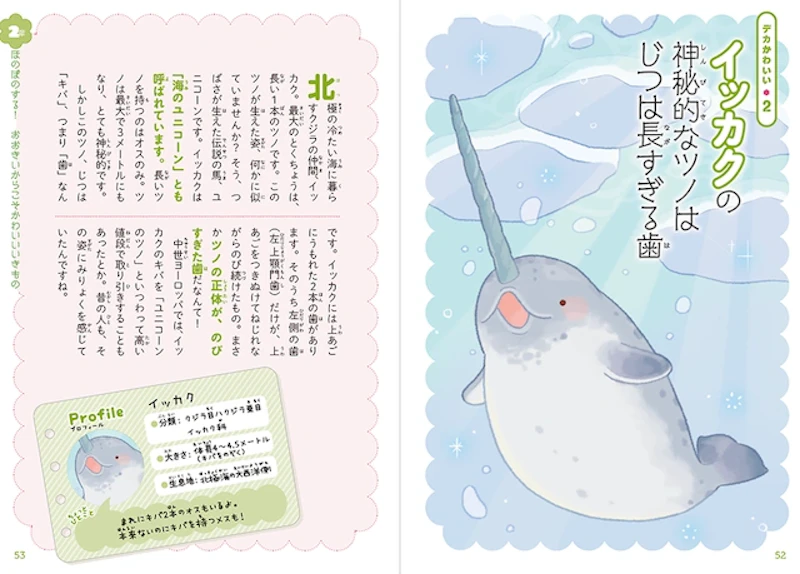 イッカクのツノ