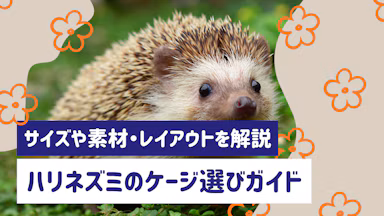 ハリネズミのケージ選びガイド｜サイズや素材・レイアウトを徹底解説のサムネイル画像