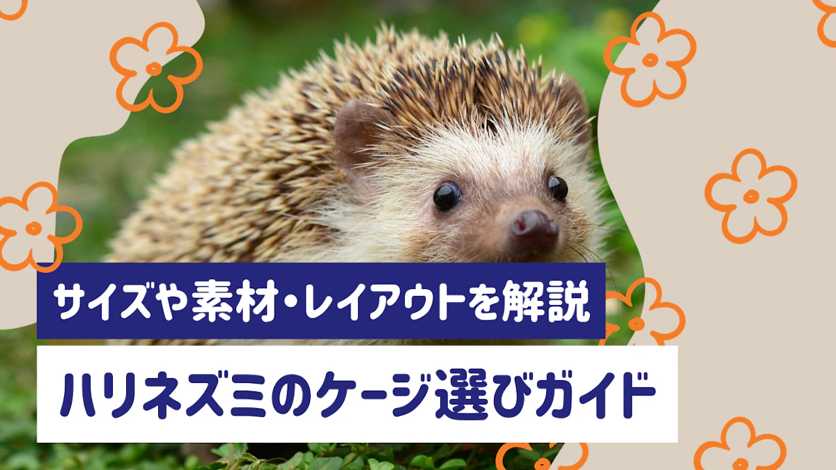 ハリネズミのケージ選びガイド｜サイズや素材・レイアウトを徹底解説