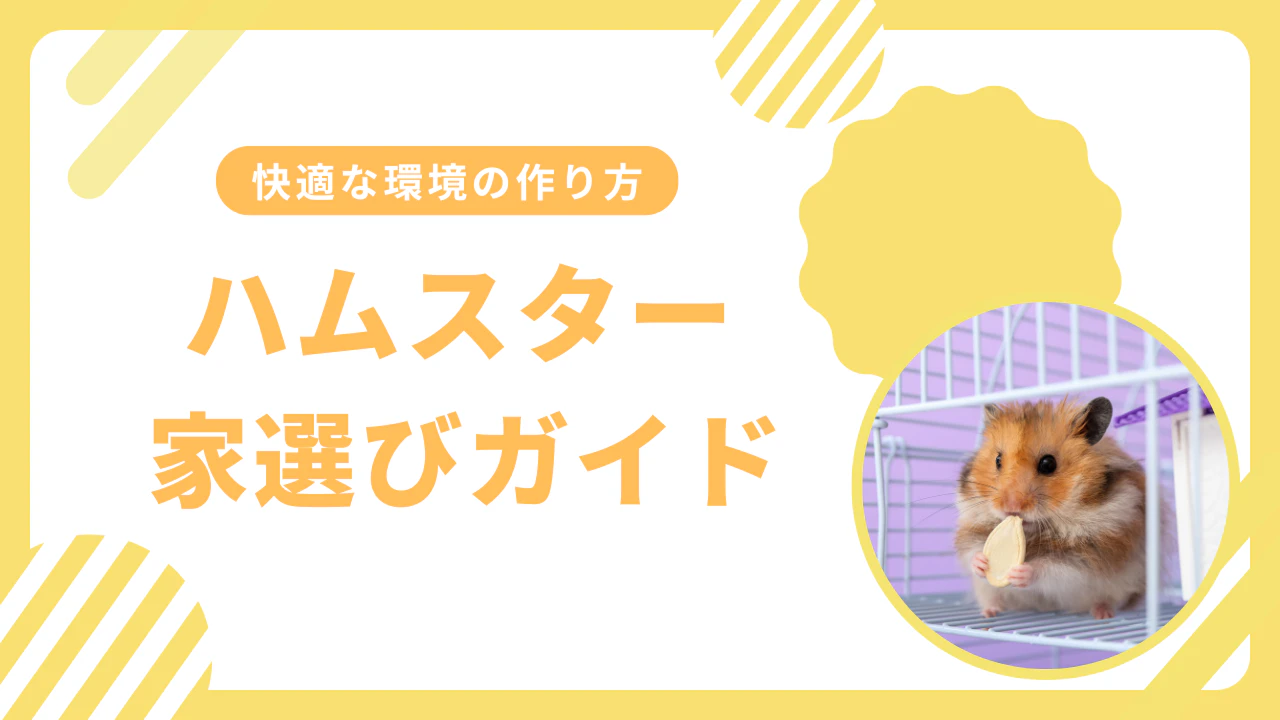 ハムスターの家選び完全ガイド｜快適な飼育環境の作り方と必須アイテムのサムネイル画像