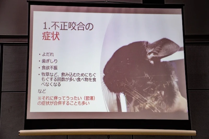 不正咬合の症状