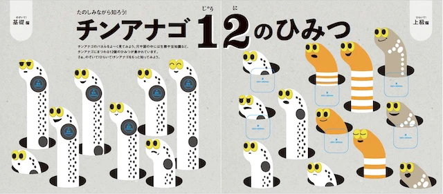 チンアナゴ 12 のひみつ イメージ