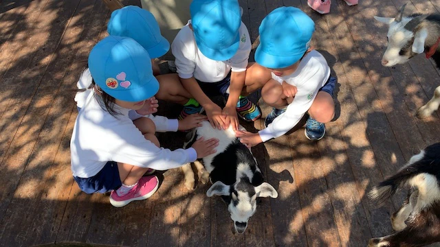 子供たちと動物のふれあい