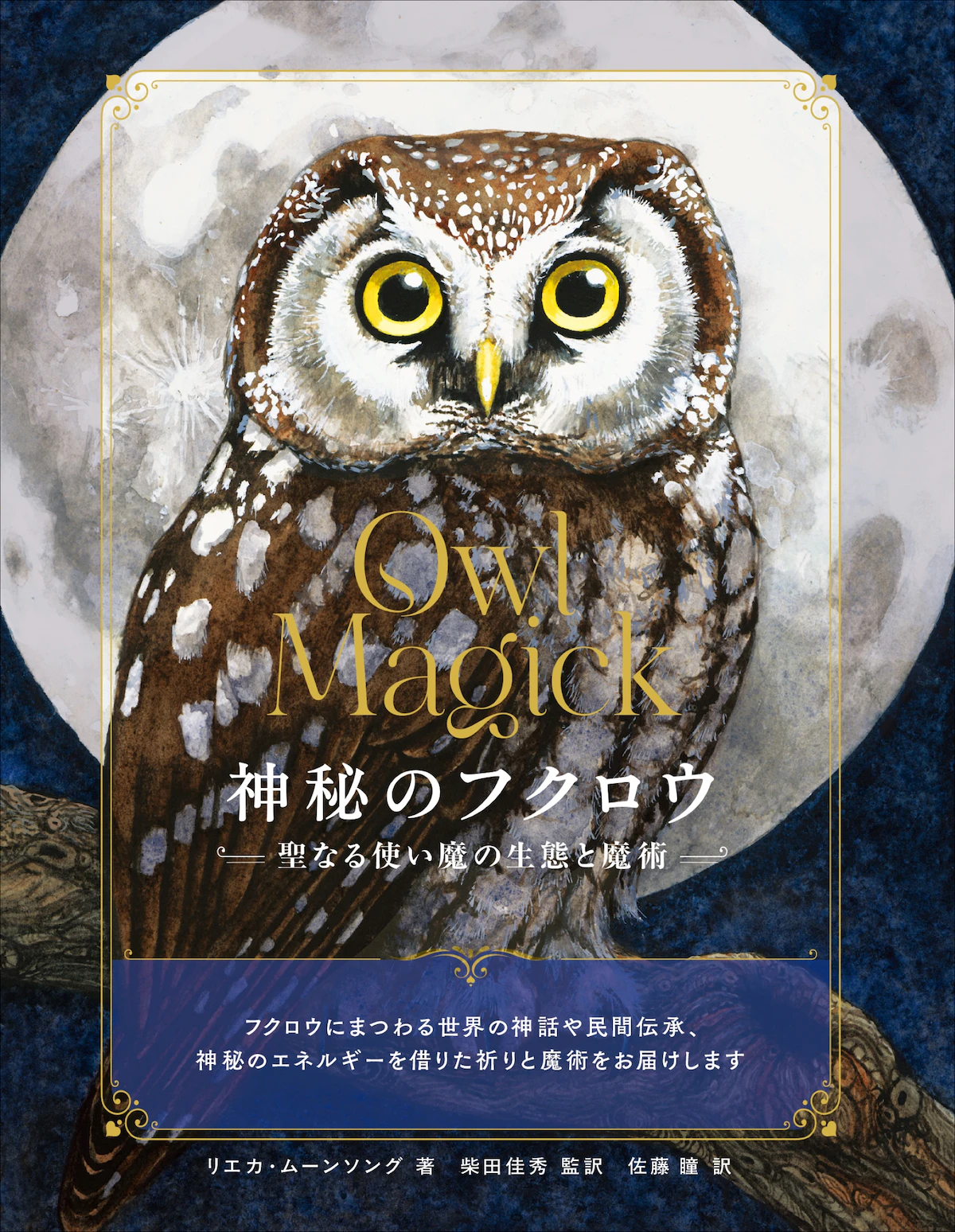 書籍『神秘のフクロウ 聖なる使い魔の生態と魔術』9月発売｜フクロウの神秘的な生態と魔術を解説