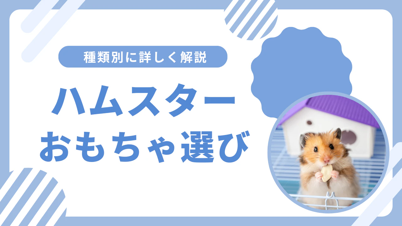 ハムスターのおもちゃ選び完全ガイド｜安全で楽しい遊び道具を解説のサムネイル画像