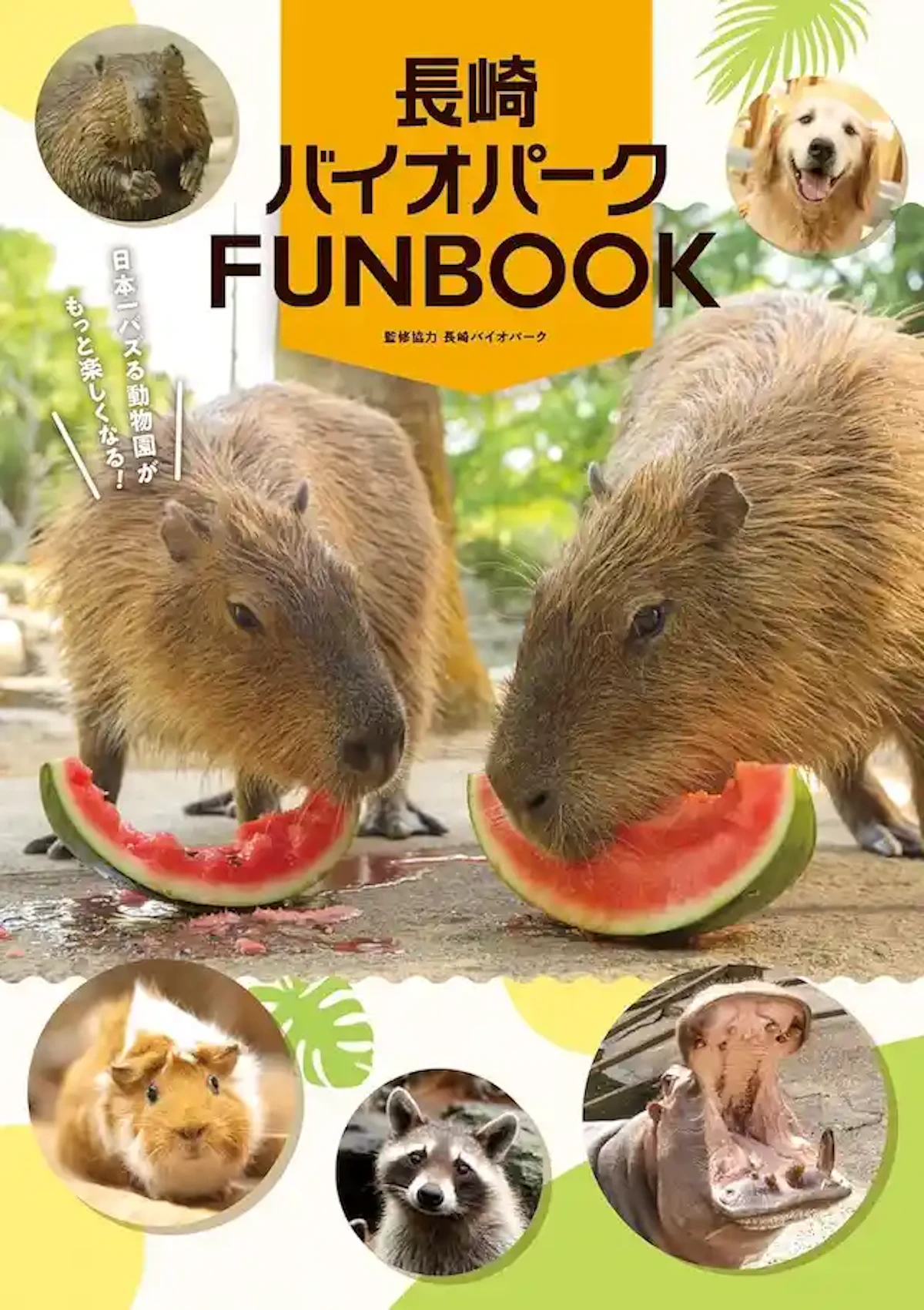 カバがスイカを丸ごと食べる動画で話題！長崎バイオパークの公式ファンブックが発売