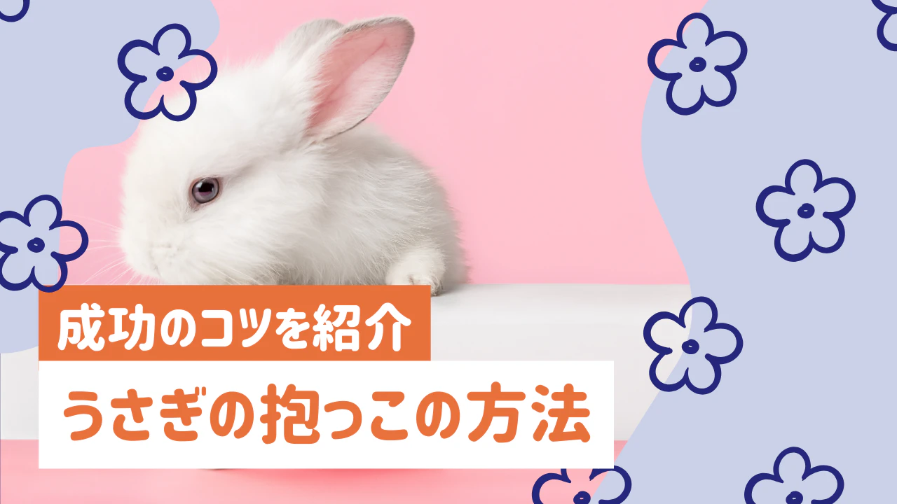 うさぎの抱っこができない方へ｜嫌がる原因と成功のコツを紹介のサムネイル画像