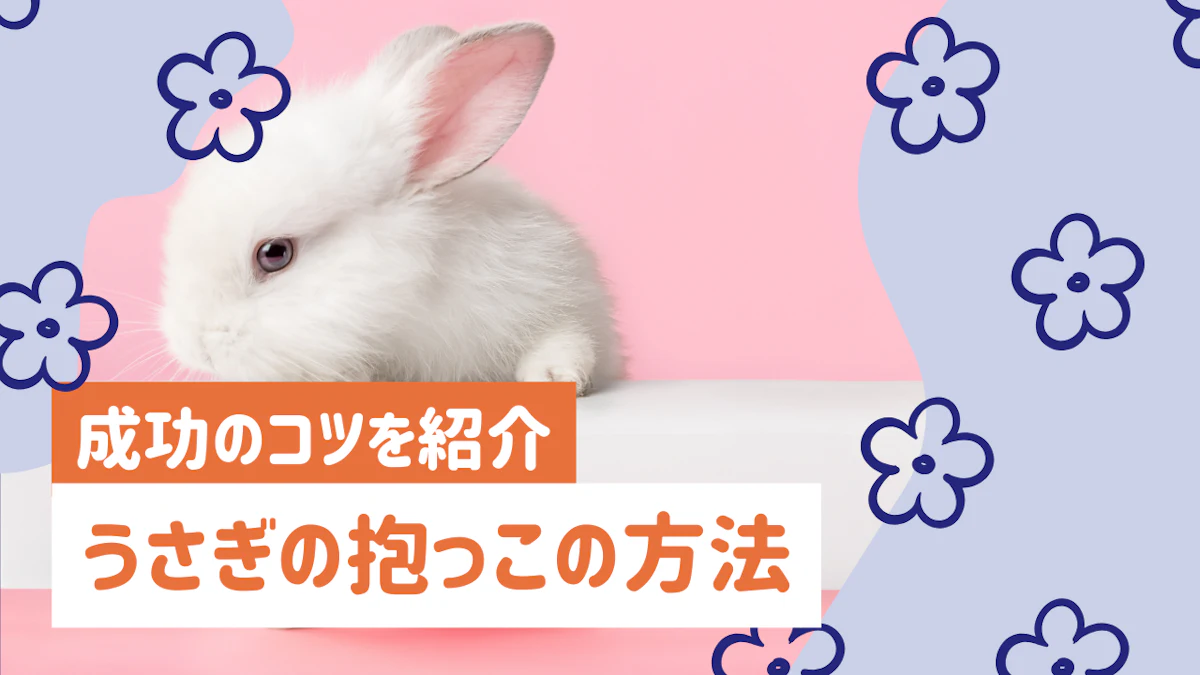 うさぎの抱っこができない方へ｜嫌がる原因と成功のコツを紹介