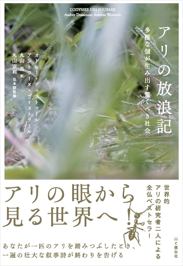 世界75種のアリの知られざる生態。『アリの放浪記 多様な個が生み出す驚くべき社会』刊行のサムネイル画像