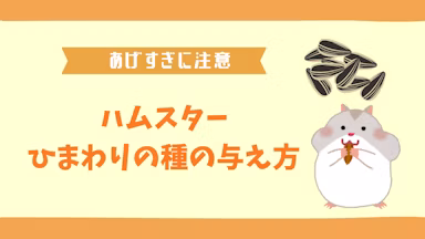 ハムスターにひまわりの種をあげる正しい方法|量・頻度・注意点を解説のサムネイル画像