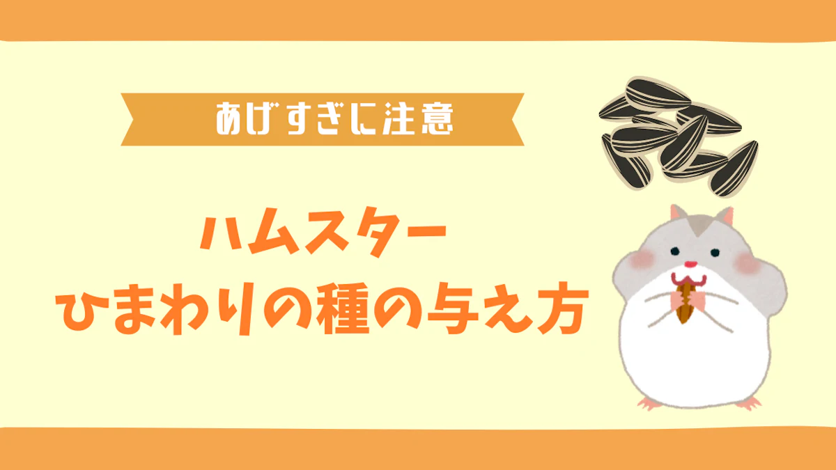 ハムスターにひまわりの種をあげる正しい方法｜量・頻度・注意点を解説