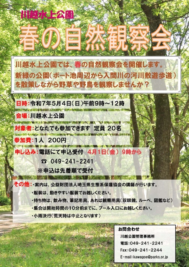 チラシ