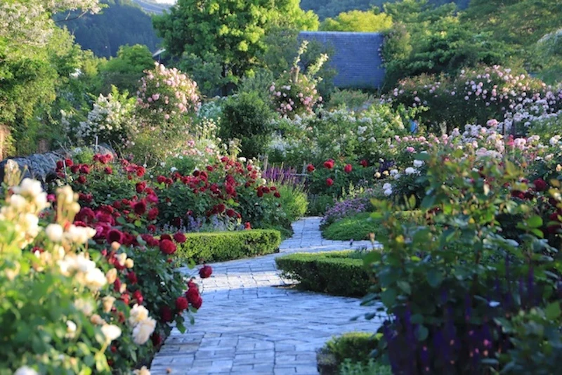 施設を代表するイングリッシュガーデン