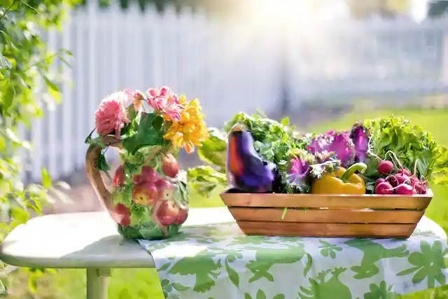 野菜セット
