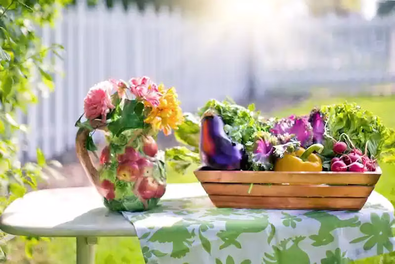野菜セット