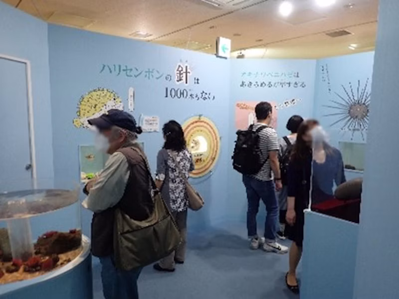 2020年開催「ざんねんないきもの展2」