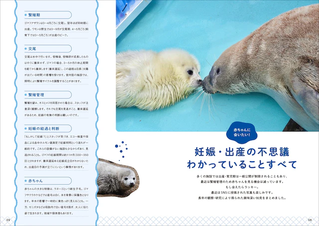 赤ちゃんは白いんですよ