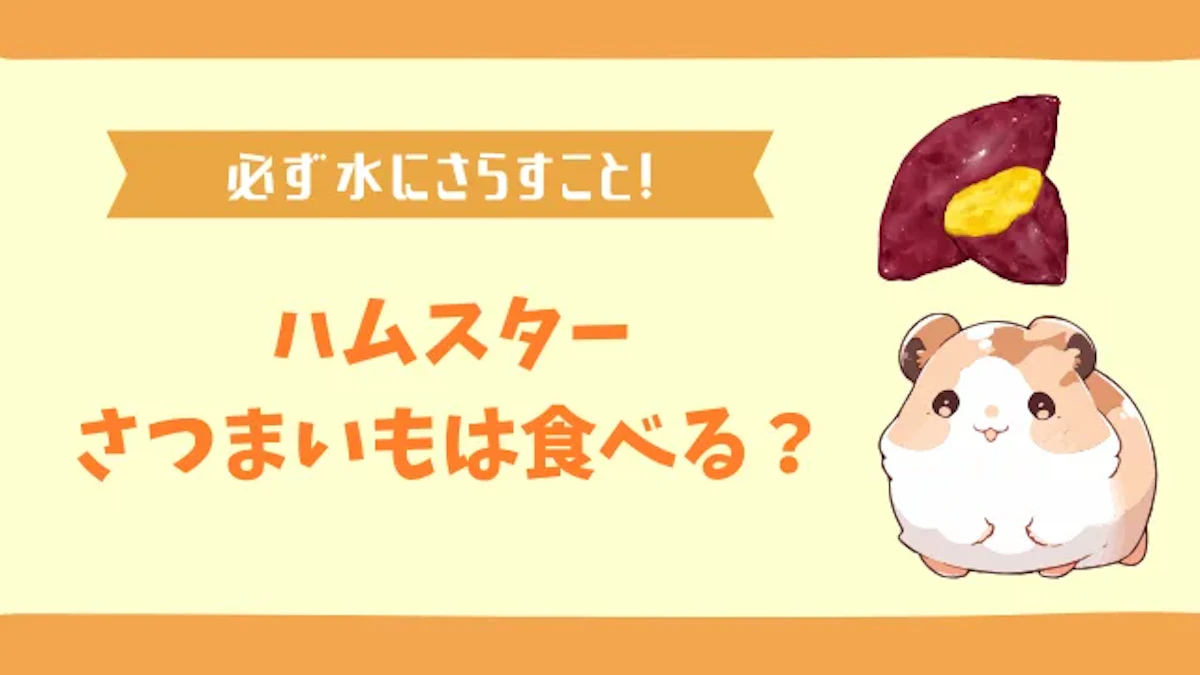 ハムスターにさつまいもを与えるときは生？ふかす？ 注意点を解説のサムネイル画像