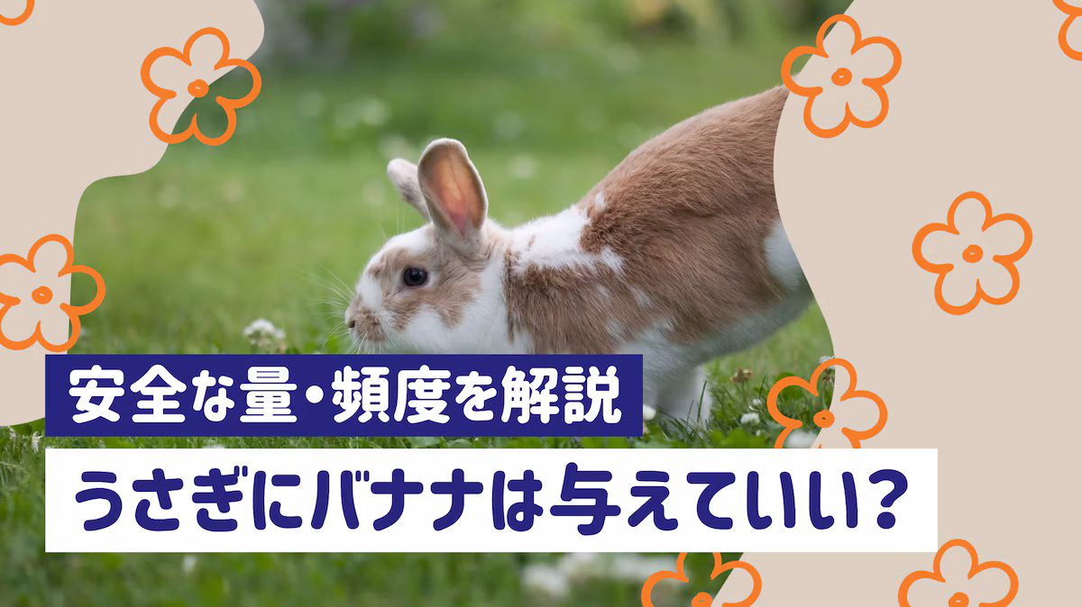 うさぎにバナナは与えてもいい?皮の危険性や安全な量・頻度を解説