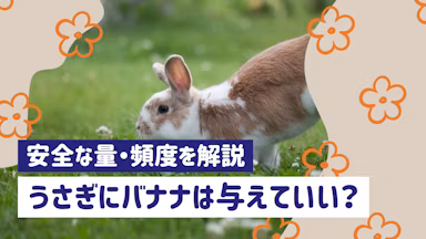 うさぎにバナナは与えてもいい?皮の危険性や安全な量・頻度を解説のサムネイル画像
