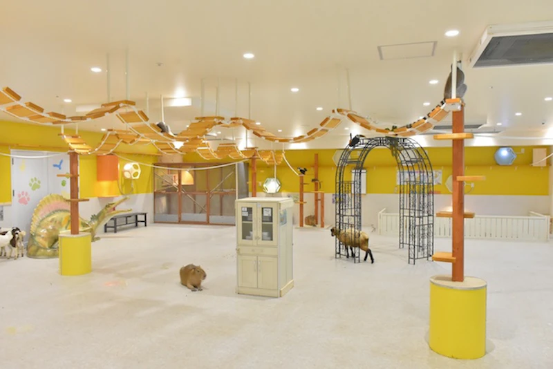 屋内型ふれあい動物園 アニタッチ