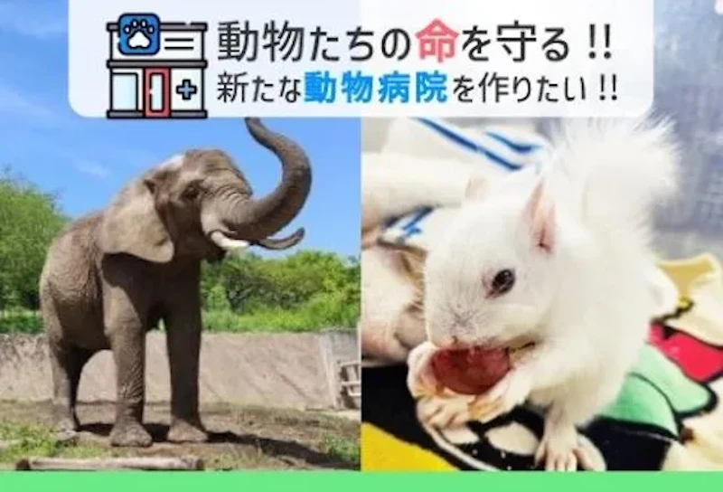 ガバメントクラウドファンディング（ふるさとチョイス）