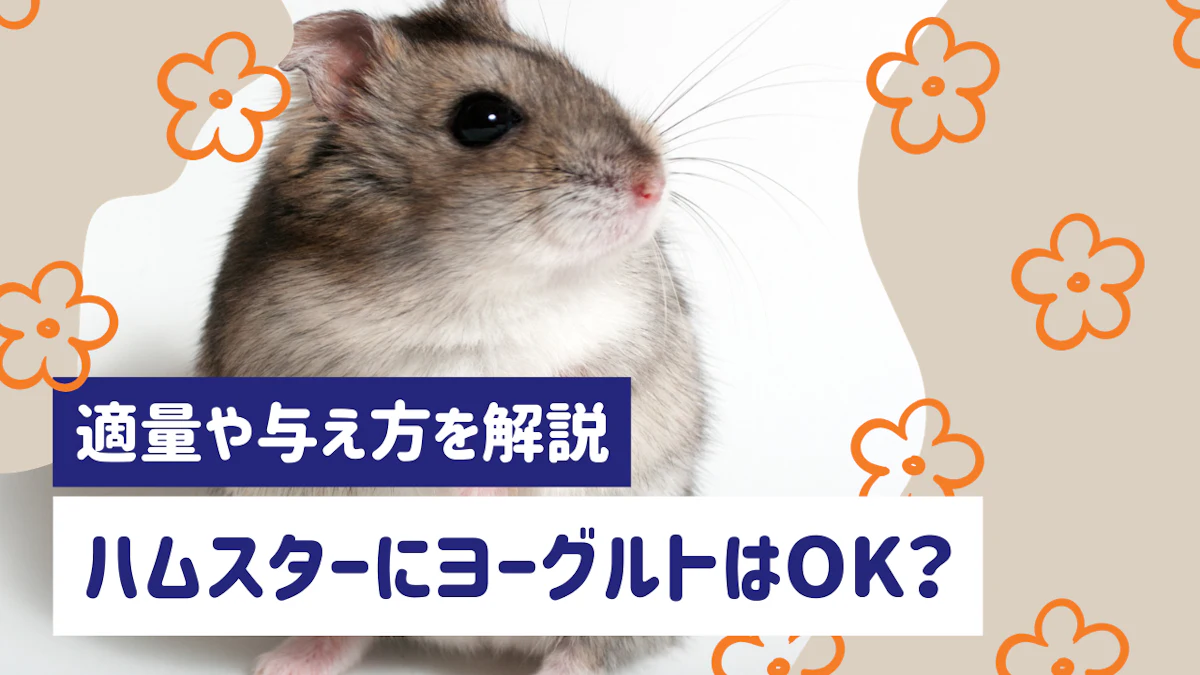 ハムスターにヨーグルトは与えていい？適量や注意点を解説