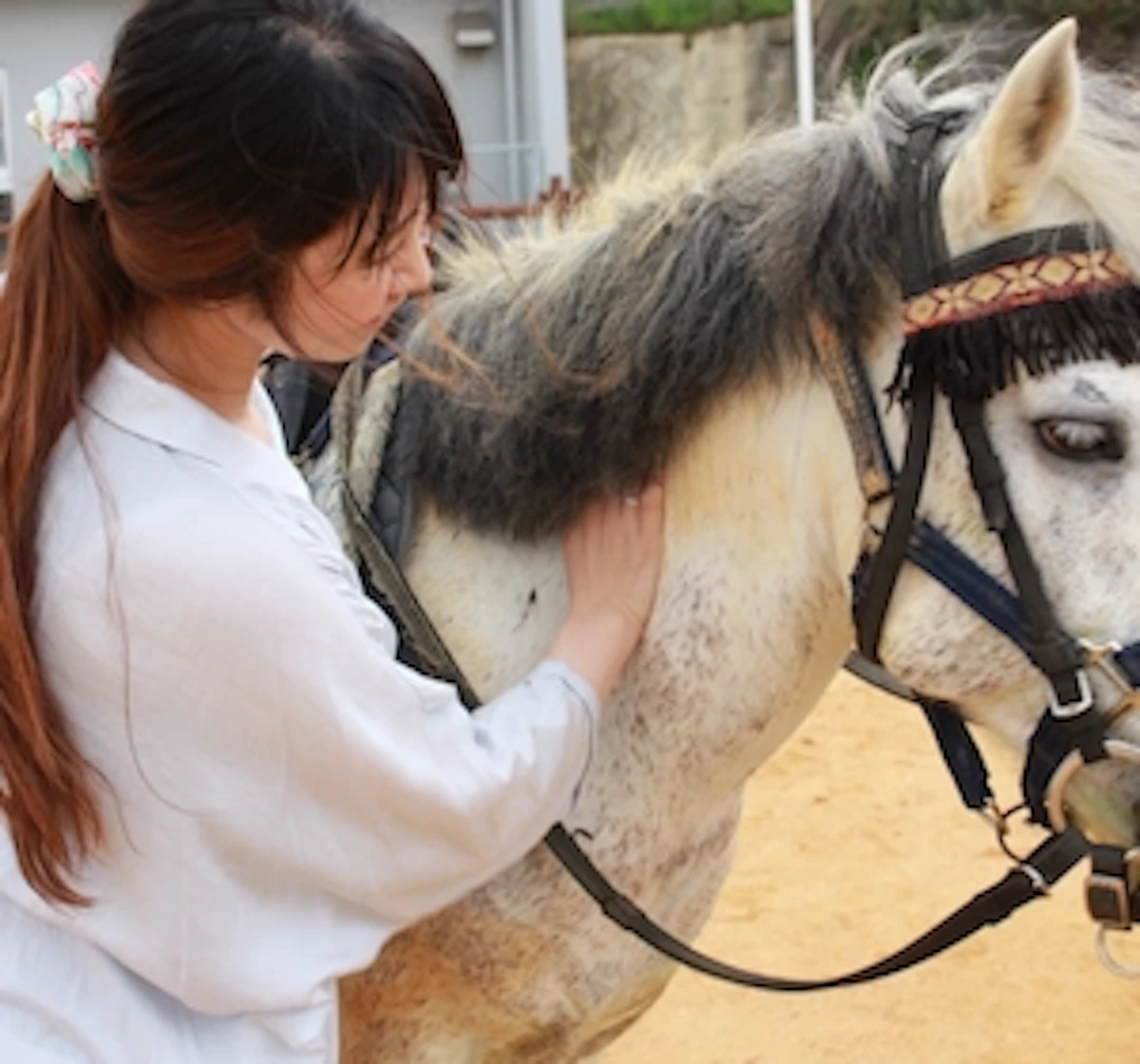 岸本舞のプロフィール画像