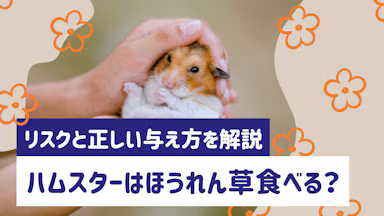 ハムスターにほうれん草は与えていい？リスクと正しい与え方を解説のサムネイル画像