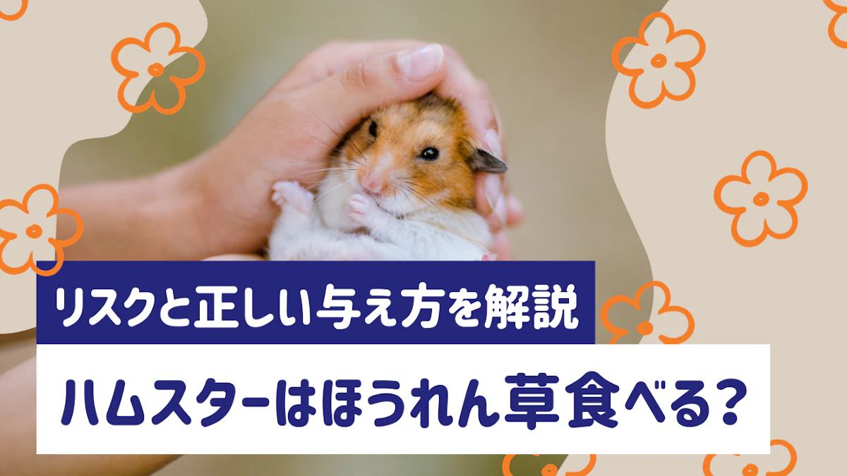 ハムスターにほうれん草は与えていい？リスクと正しい与え方を解説のサムネイル画像