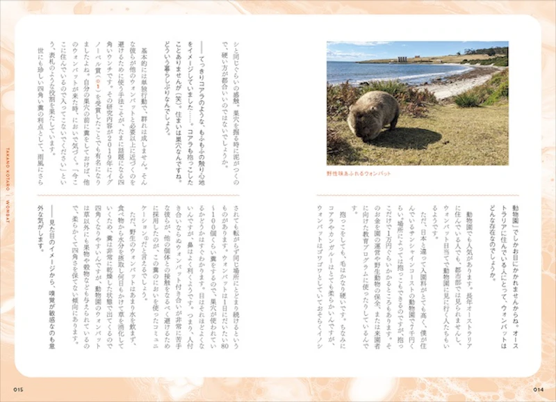 ウォンバット解説