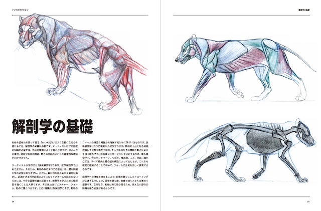 約50体の動物を網羅した『アーティストのための動物解剖学