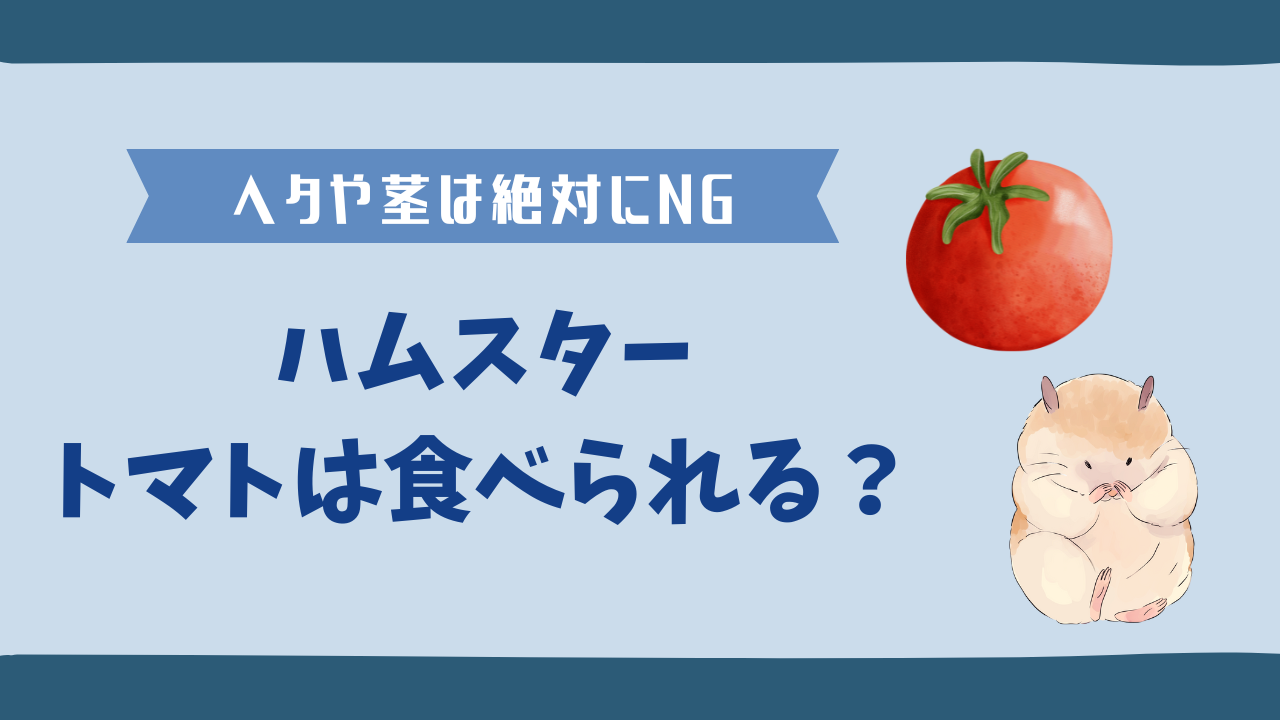 ハムスターはトマトを食べられる？ヘタや茎の毒性や注意点を解説