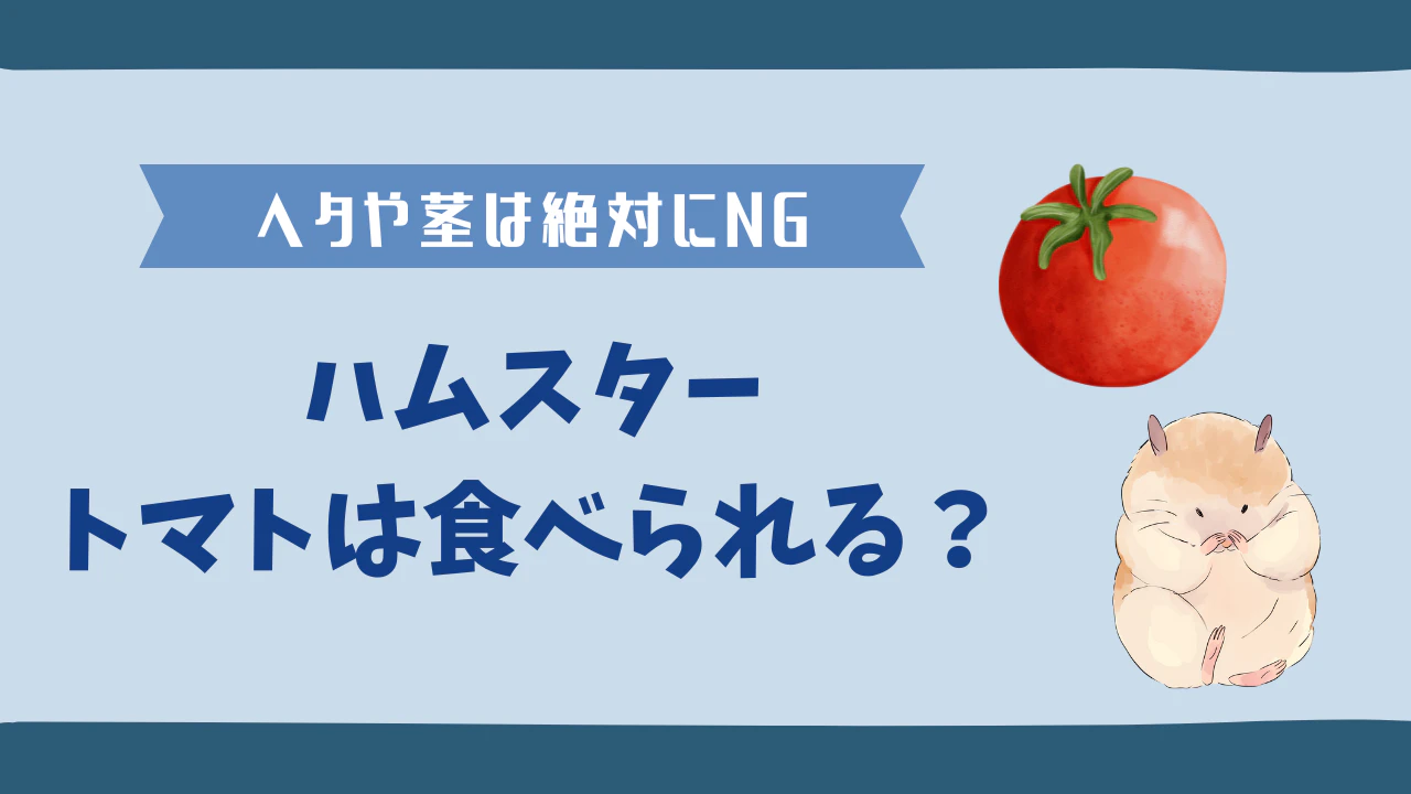 ハムスターはトマトを食べられる？ヘタや茎の毒性や注意点を解説のサムネイル画像