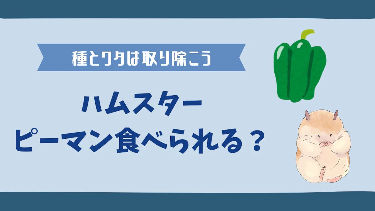 ハムスターはピーマンを食べられる？適切な与え方と注意点を解説のサムネイル画像