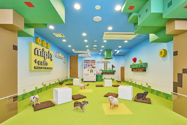 マイクロブタと触れ合えるmipig cafe原宿竹下通り店、新たに「ゲームフロア」がオープンのサムネイル画像