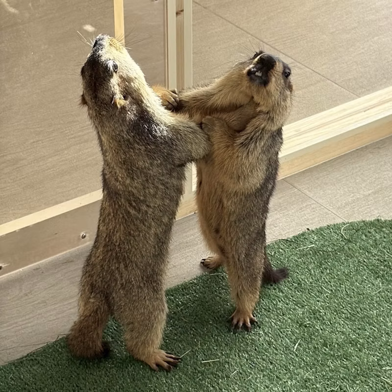 ぎゅいーん
