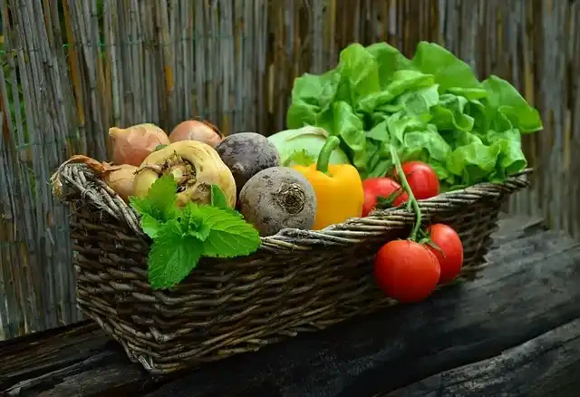 野菜ボックス