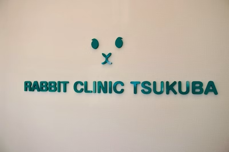 「うさぎの病院 つくば」
