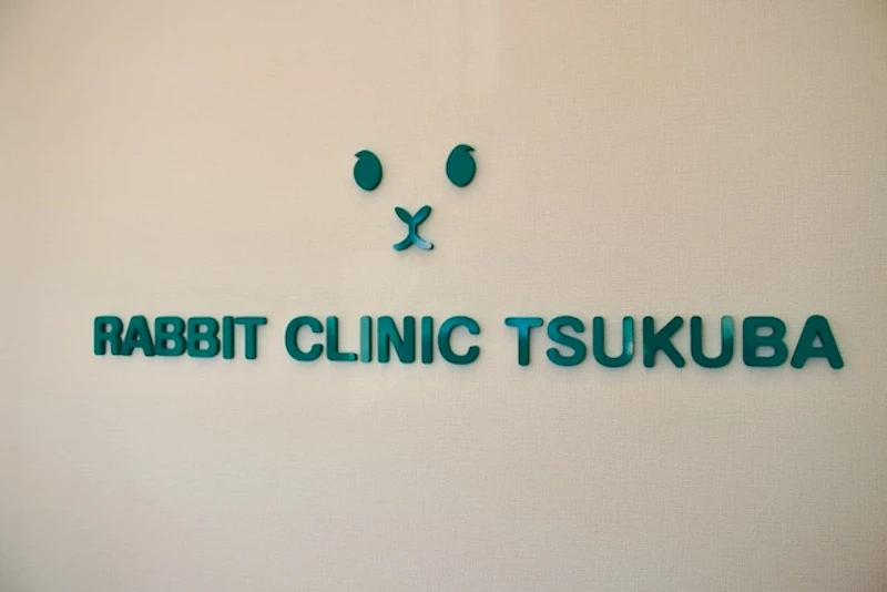 「うさぎの病院 つくば」