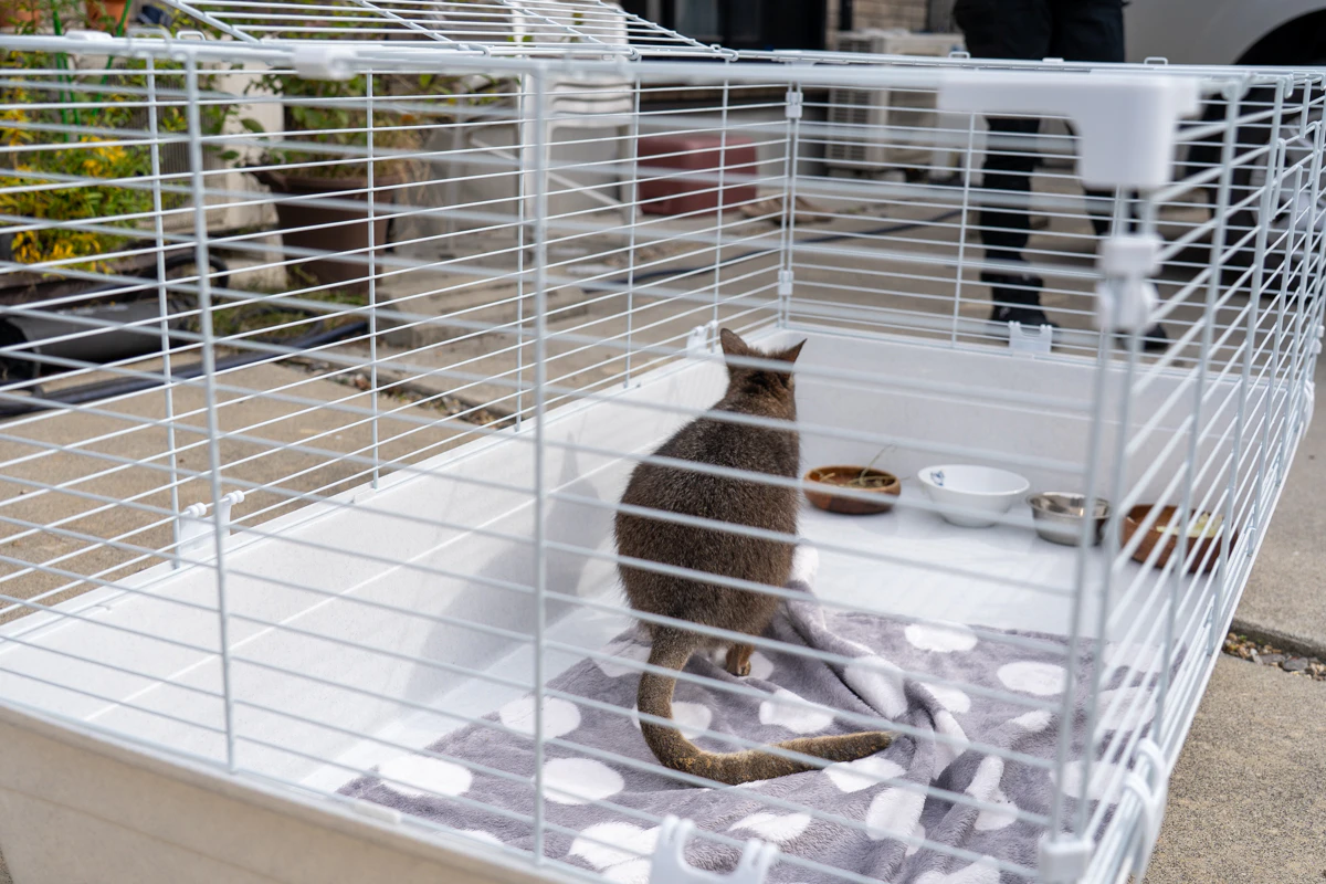 マーラが入った様子