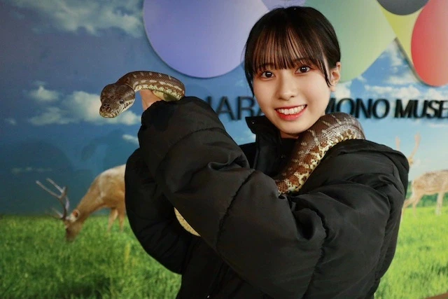 奈良いきものミュージアム「蛇たちの世界展」｜巳年特別展示＆金運の脱皮殻限定販売
