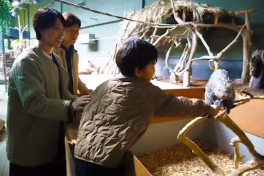 カワスイ川崎水族館、オマキヤマアラシの展示をリニューアル!エサやり体験や限定スイーツものサムネイル画像