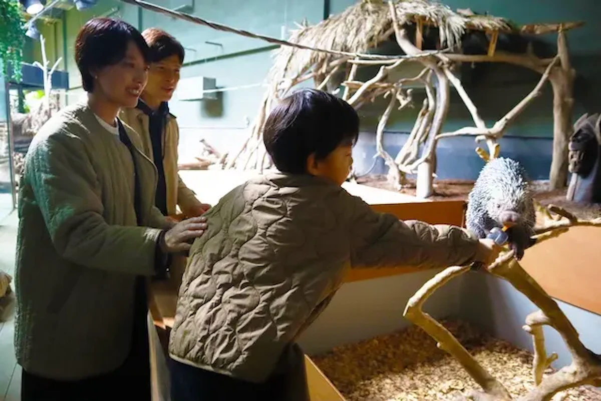 カワスイ川崎水族館、オマキヤマアラシの展示をリニューアル！エサやり体験や限定スイーツものサムネイル画像