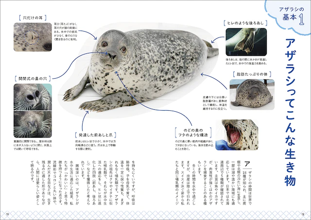体はどんな仕組み？
