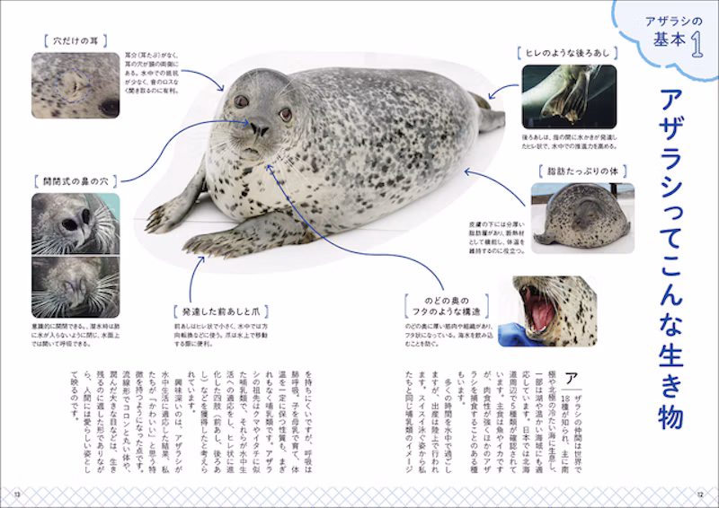 体はどんな仕組み?